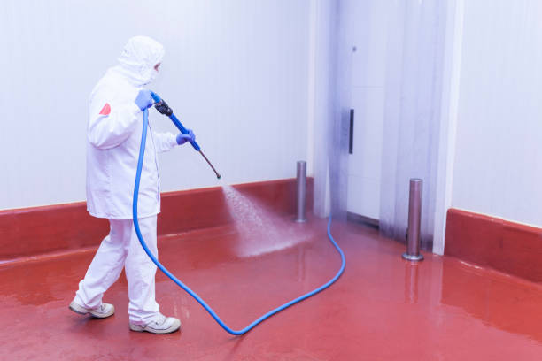 Best Graffiti Removal  in Village Of Oak Creek, AZ